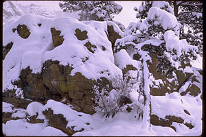 Rocky Mountain National Park ROMO9056.jpg