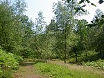 Rodborough Common, Surrey