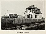 Rossittens fågelstation 1910.