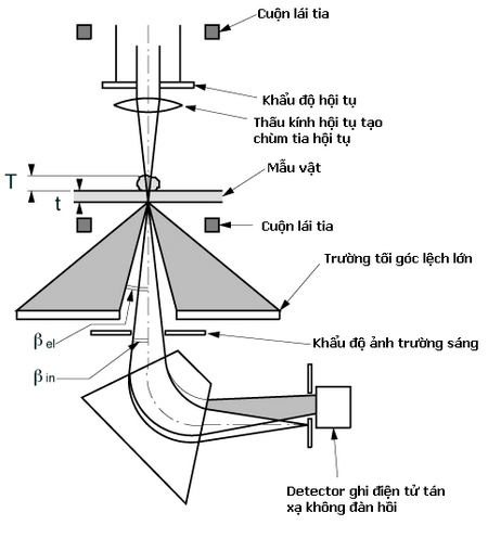 Kính_hiển_vi_điện_tử_truyền_qua_quét