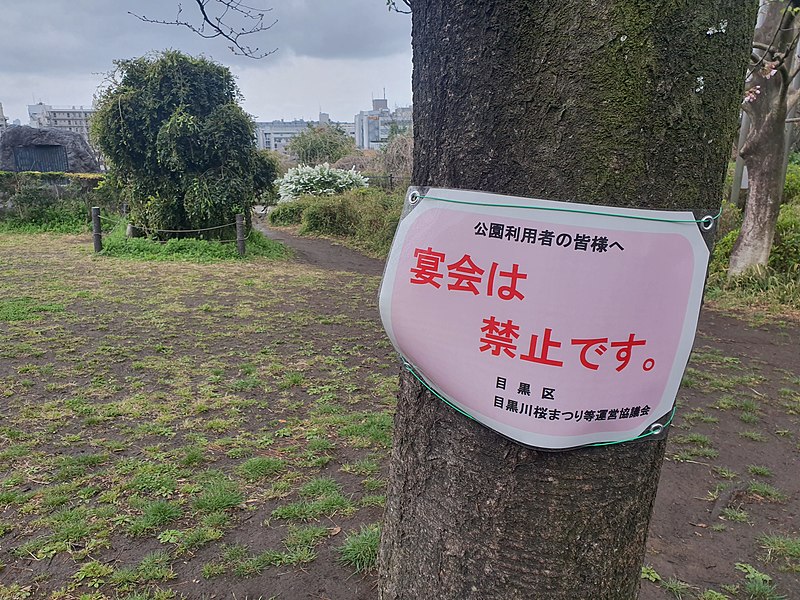 File:Saigoyama park during rainy hanami season 3.jpg