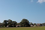 Oaks aan de Gaglhamerweg