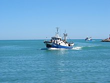 Il rientro al porto di San Benedetto del Tronto di una Lampara dopo battuta di pesca.