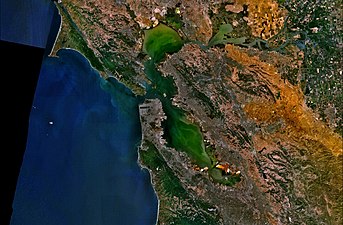 San Francisco Bay NASA World Wind Globe.jpg