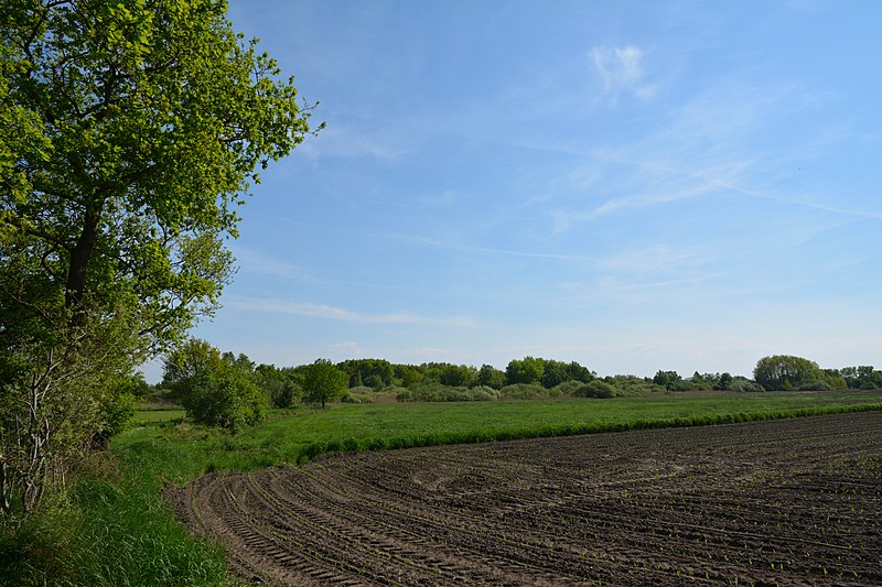 File:Schleswig-Holstein, Delve, Landschaftsschutzgebiet Südermoor bei Schwienhusen NIK 2504.jpg