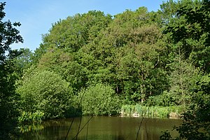 Schleswig-Holstein, Kuden, Landschaftsschutzgebiet Klev von St. Michaelisdonn bis Burg NIK 3112.jpg