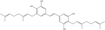 schweinfurthine C