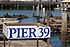 Sea lions on pier 39 4.jpg