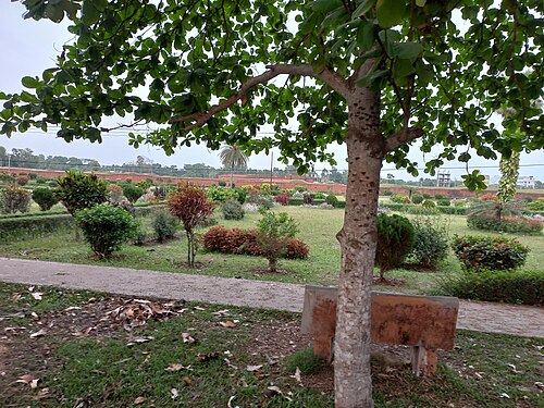 Shalban Vihara in Mainamati,Cumilla