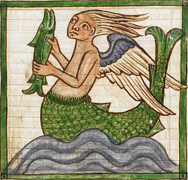 Siren in bestiary, British Library, MS 3244