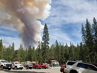 <span class="mw-page-title-main">Washburn Fire</span> 2022 wildfire in Mariposa and Madera counties, California