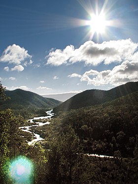 Çizim