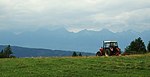 Prairies originales - pâturages de Slovaquie