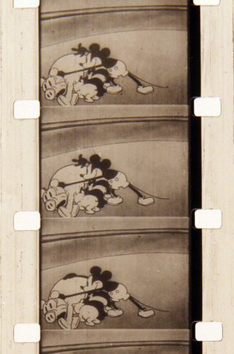 A segment of film cut from a Steamboat Willie reel by a 1930s cinema