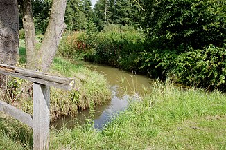 Confluence of the Steinbach (from left) into the Delme