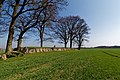 Stone Age grave 2658.jpg