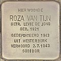 Stolperstein für Roza van Tijn (Westland).jpg