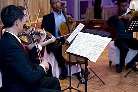 A string quartet in performance. From left to right – violin 1, violin 2, cello, viola