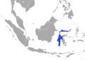 Sulawesi White-handed Shrew area.png