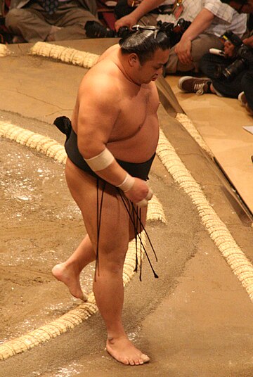 File:Sumo May09 Chiyotaikai.jpg