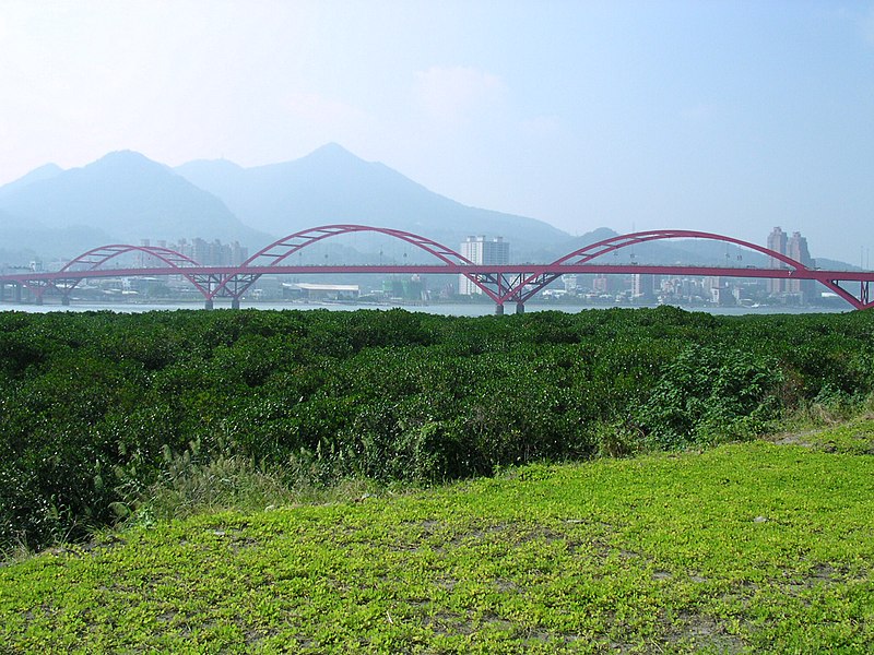 File:Taiwan KuanDu Bridge.JPG