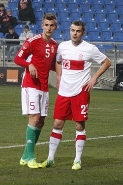 Tamas Priskin & Pawel Brozek 2011.jpg