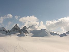 Tête Blanche