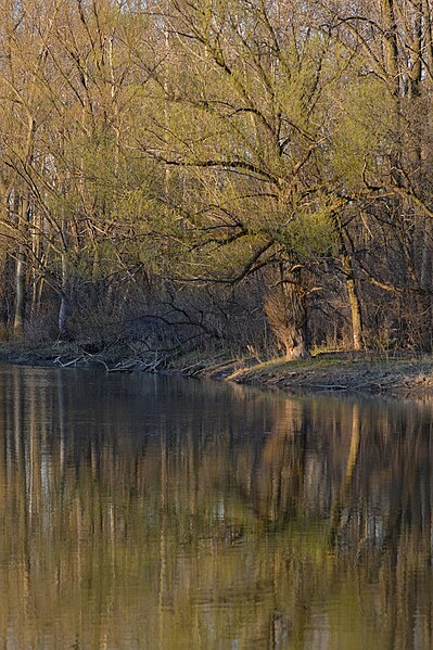 File:Thames River - London, Ontario 04.jpg