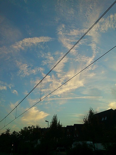 File:The Powerline In The Sky (81462421).jpeg