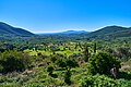 View of the ruins of Messene from Mount Ithome (?), 4th cent. B.C. Messenia.