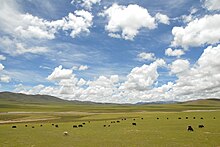 Rural Nagqu