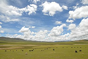 Tibet landscape.jpg