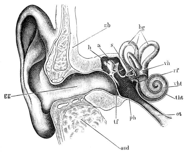 File:Tidens naturlære fig40.png