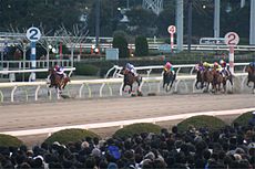 東京大賞典: 概要, 歴史, 歴代優勝馬