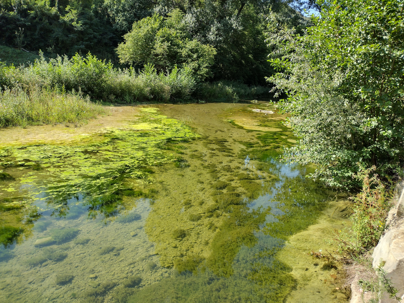 File:Torrente Fluvione a monte del Mulino Pignoloni 02.png