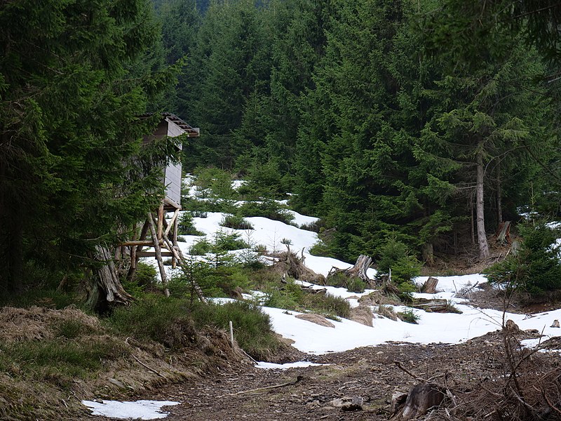 File:Track at Großer Winterberg 07.jpg