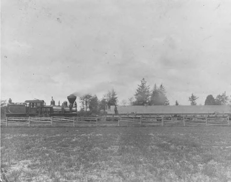 File:Train bringing the "Big Stick" for exhibit in the Forestry Building, Alaska Yukon Pacific Exposition, Seattle, ca 1909 (AYP 1369).jpg