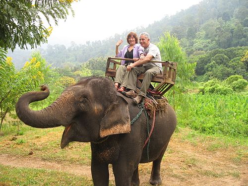 An elephant carrying tourists on its back