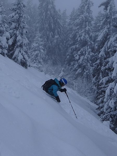 File:Treeskiing.jpg