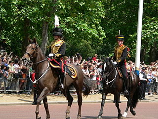 <span class="mw-page-title-main">King's Troop, Royal Horse Artillery</span> Ceremonial mounted unit of the British Army