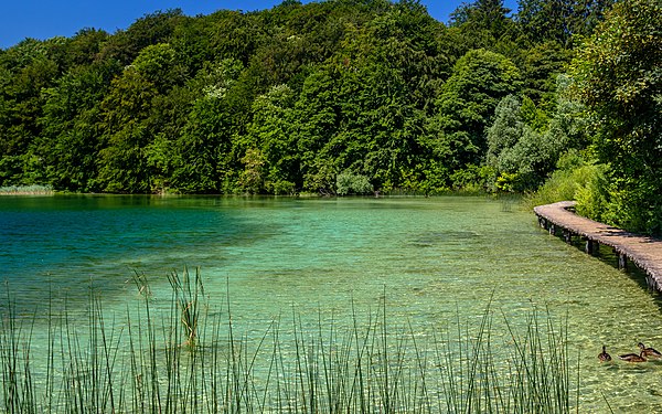 Beautiful view in Plitvice Lakes National Park. Photograph: Zysko serhii (CC BY-SA 4.0)