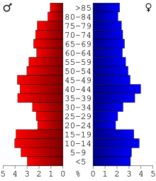 Age pyramid of county residents based on 2000 United States Census data