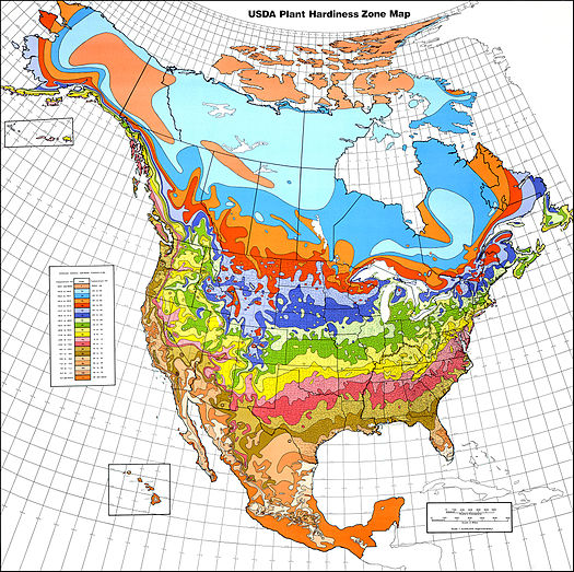 USDA Map of North American plant hardiness zones USDA Hardiness zone map.jpg