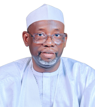 <span class="mw-page-title-main">Umar Namadi</span> Nigerian politician (born 1963)