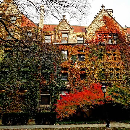 University of Chicago building during fall