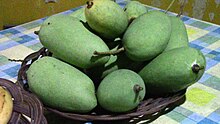 Unripe chok anan mangoes2.jpg