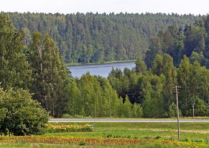 File:Vaidava - Uldis Osis - Panoramio.jpg