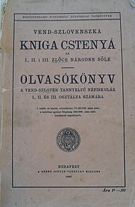 Tkálecz Vilmos: Élete, A Murai Köztársaság élén, 1919 után