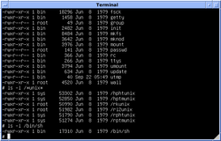 Versio 7 UNIX PDP-11:lle, SIMH PDP-11 -simulaatiossa ajamassa Bourne shelliä.