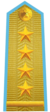 Vietnam People's Air Force Captain.png